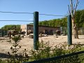 zoo 042